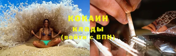 spice Аркадак